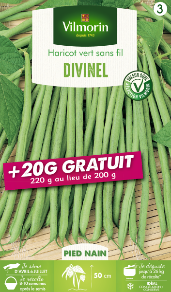 Légumes Secs - Haricot Nain Vert Divinel + 20 g Offert - PACKAGING_RECTO